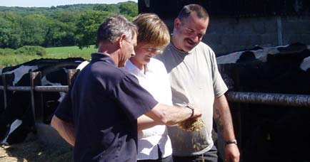 three people pictured with cows and feed