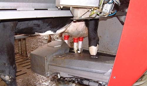 Robotic Milking